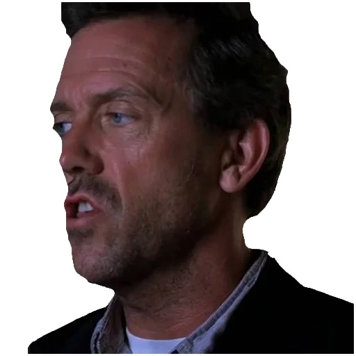 hugh laurie, house doctor, dr house, your men
