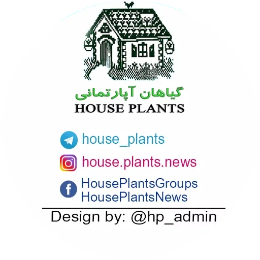 house logo, логотип дом, one house лого, new house логотип, premium house логотип
