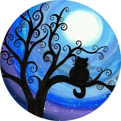 find, moon cat, moon cat, lunar cats