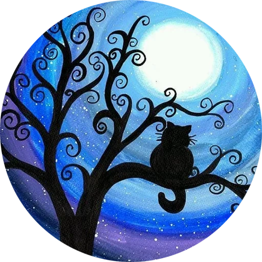 trova, moon cat, moon cat, gatti lunari