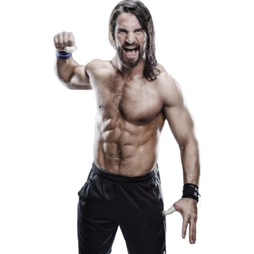 wwe, ergebnis, seth rollins, bearbeitet, seth rollins torsos