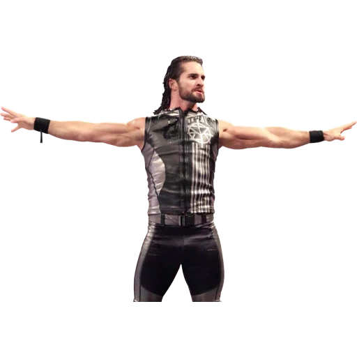 wwe, riendas romanas, seth rollins, seth rollins, wwe set rollins art