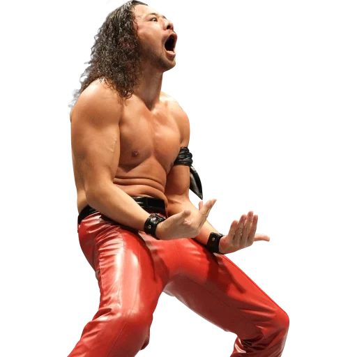 ragazzo, le persone, shunsuke nakamura njpw, wrestler shunsuke nakamura, john hennigan wrestling busto