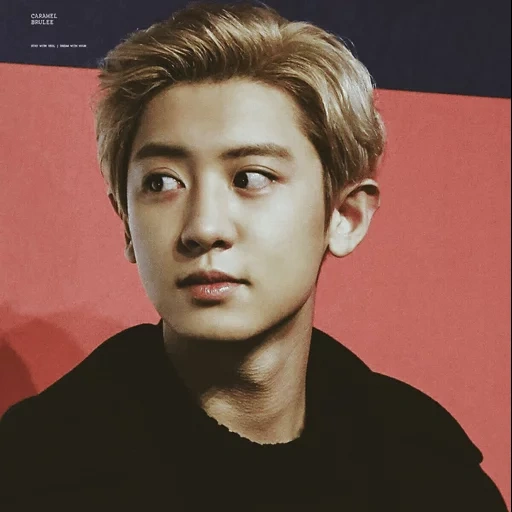 sehun, chanel, pak chanyeol, chanyeol exo, parque chanyeol