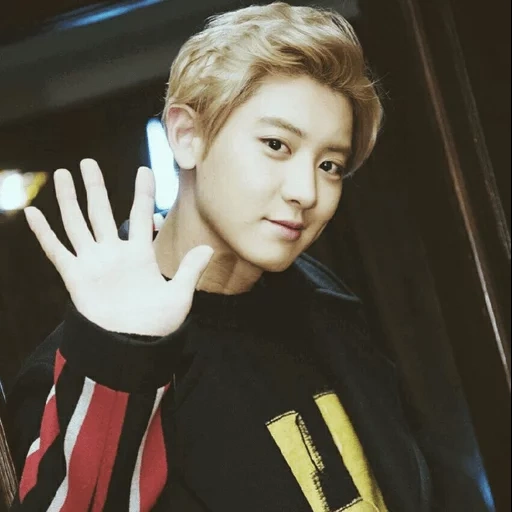 syumin, nachnamen, pak chanyeol, chanel 2020, chanyeol exo