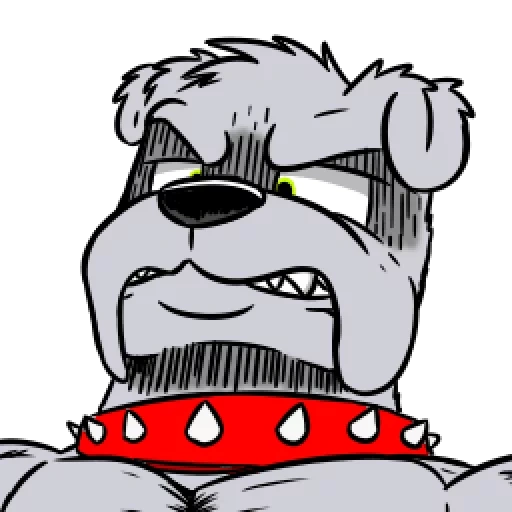 bulldog, male, angry bulldog, bulldog, spartak bulldog