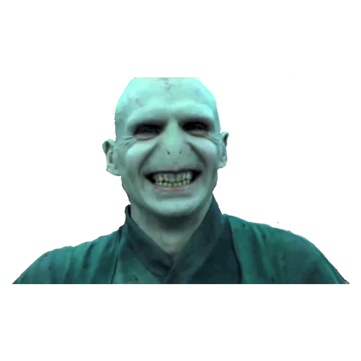 harry potter, harry potter, voldemort, piccolo voldemort, harry potter upgrade