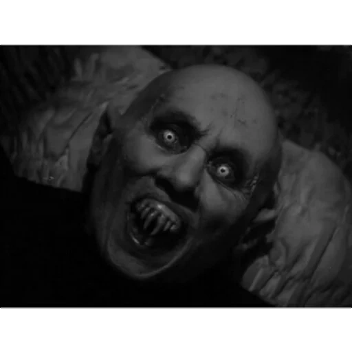 nosferatu, stephen king, das schrecklichste, der vampir nosferatu, salem vampire