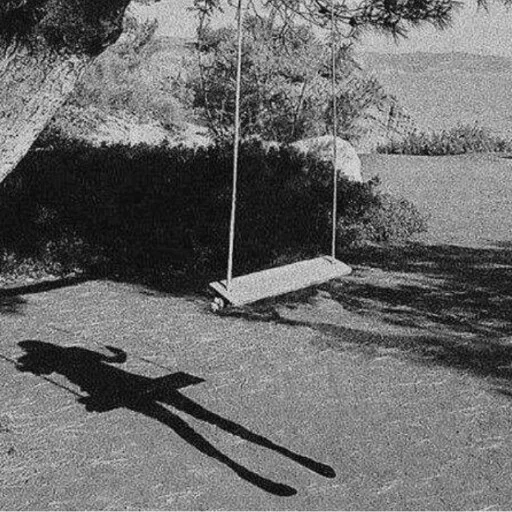 swing, arbre à balançoire, une balançoire flippante, old swing, photos en noir et blanc