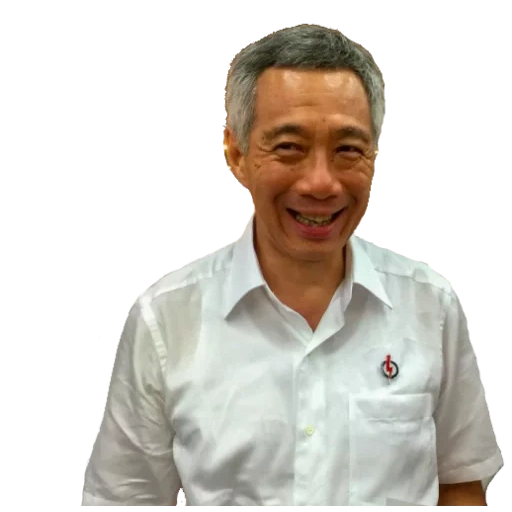 mensch, vorsitzende, singapur abstimmung, eine verwirrte person, präsident des verwaltungsrates