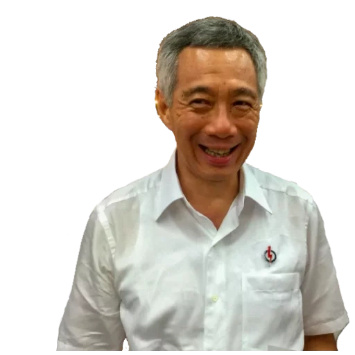 le persone, presidente, vote singapore, persona confusa, presidente del consiglio di amministrazione