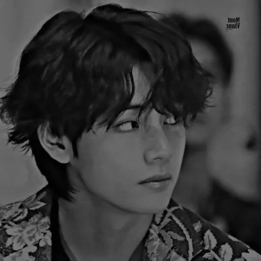 asiático, cantor pop, chi minpu, jin taixian, bts taehyung