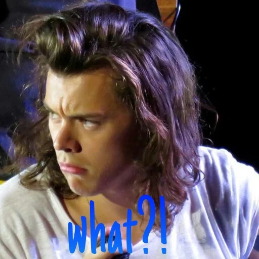 kerl, mensch, harry styles, eine richtung, harry styles 2016 gifs