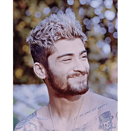 zayn, бразилия, 10 фактов, ana clara, зейн малик