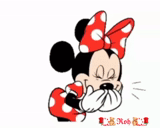 minnie mouse, mickey mouse, mini mouse de mickey, mickey mouse minnie, mickey mouse minnie mouse