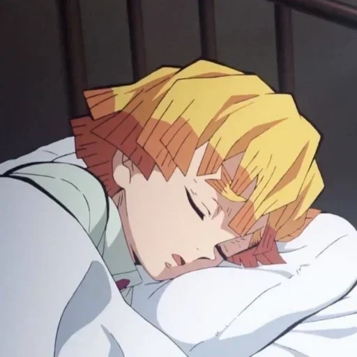 zenitsu, kodenzovo, o zênite está dormindo, personagem de anime, negociações importantes