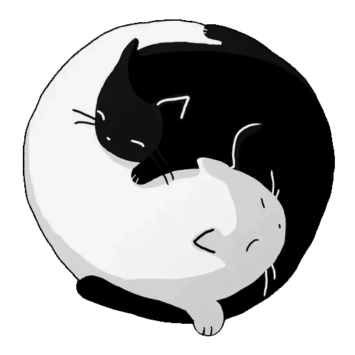 kit, cat yin yan, cats yin yan, cats yin yan, black white cat