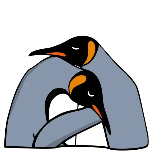 pingüino, pingüino, pájaro pigo, perfil de pingüino, pingüinos amor