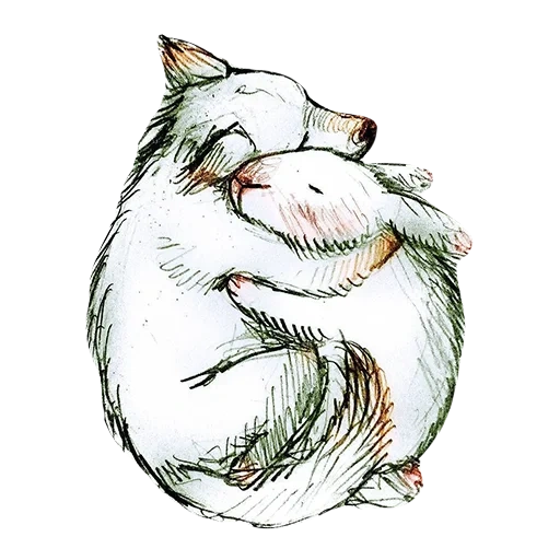 cat, bunny wolf, hamster schedule, hamster sketch, hamster cute drawing
