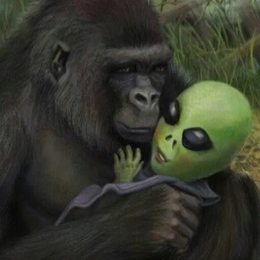oscuridad, after midnight, cualquier director de televisión, gorila mono, monos alienígenas