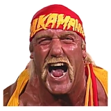 Hulk Hogan