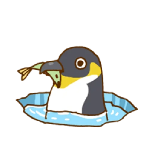 penguin, penguin, tarjeta de pingüino, patrón de pingüino, penguin pingüino