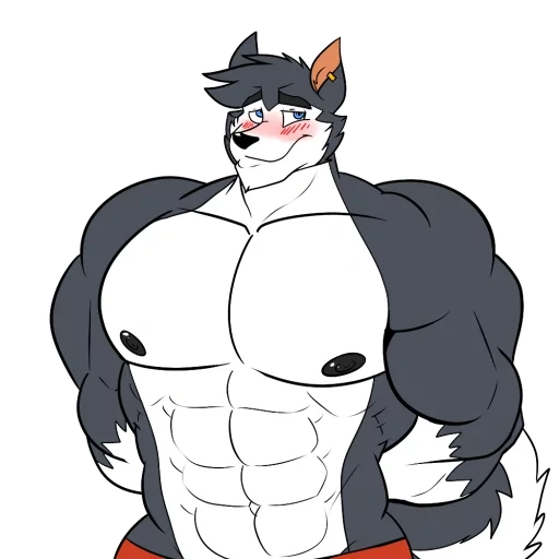 muscle, muscle wolf, fur affinity, muscle growth, croissance musculaire fury