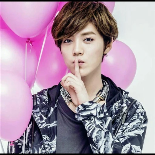 know-how, volto, luhan, profilo, modello bts vp