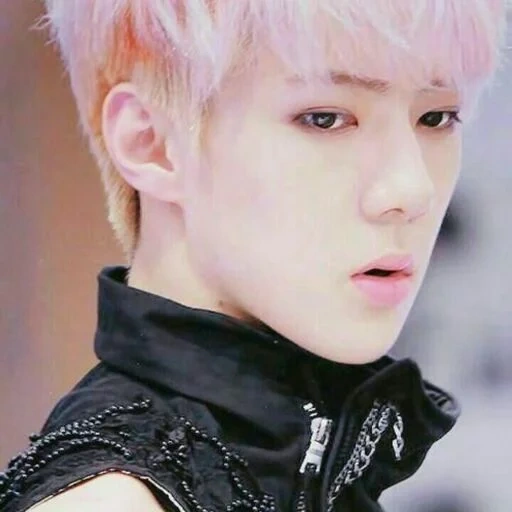 luhan, exo sehun, exo chanel, pak chanyeol, sehun exo pink