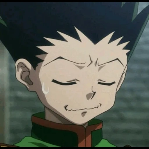 gon, gosn sweetheart, hunter x hunter, anime hunter x hunter, hunter x hunter killua