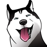 Husky memes