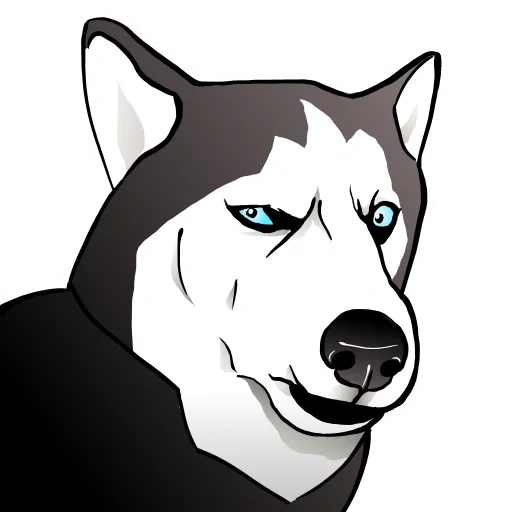 rauque, dessin animé, chien husky, husky surpris, muzzle cartoon husky