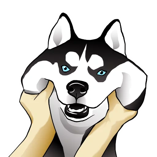 husky, husky cartoon, husky dog, surprised husky, husky cartoon