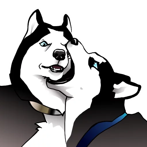 rauque, dessin animé, husky husky, chien husky