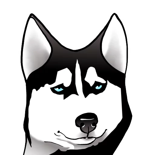 husky, husky dog, husky drawing, husky surprised