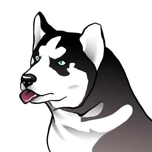 husky, caricatura de husky, perro husky, husky sorprendido