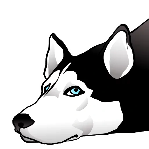 heiser, die silhouette von husky, husky hund, huski black white