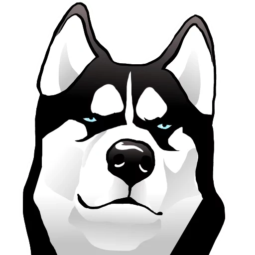 rauque, dessin animé, chien husky, dessins husky