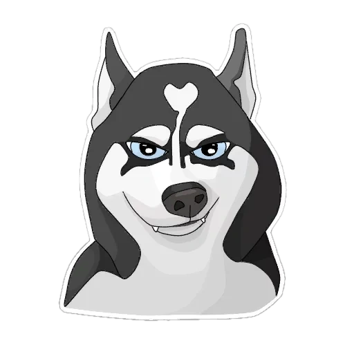 husky, husky dog, siberian husky, shy husky