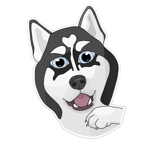 husky, husky icon, surprised husky, husky instagram, shy husky