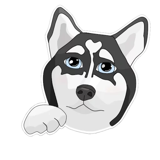 husky, emoticon husky, wattsap husky, husky sorpreso, husky timido