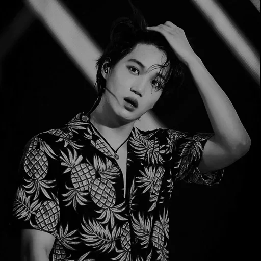 chanel, brasilien, pak chanyeol, kai von exo, mikiio naruse film 1967 midaregumo