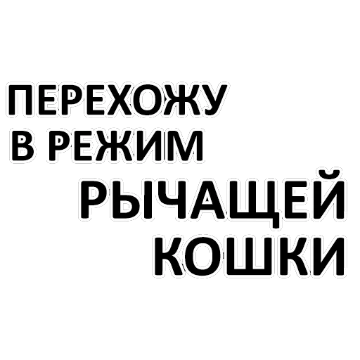 кот, ватсап матами, табличка дверь, закрывайте дверь табличка, осторожно кошка атакует без предупреждения