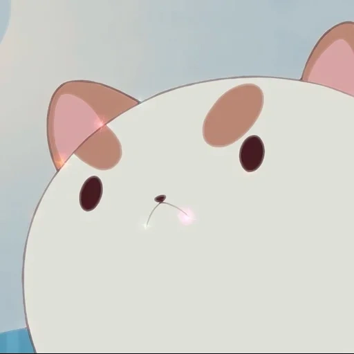 kucing, manusia, puppycat, pappyt, pii pappyt