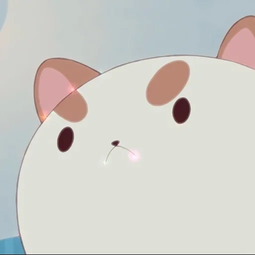 gatto, umano, puppycat, pappyt, pii pappyt