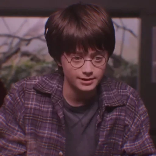 harry potter, harry potter goblin, harry potter è filosofico, harry potter philosopher's stone, harry potter philosopher's stone 2001