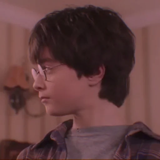 harry, harry potter, harry potter 2001, the secret of harry potter, harry potter philosopher's stone 2001