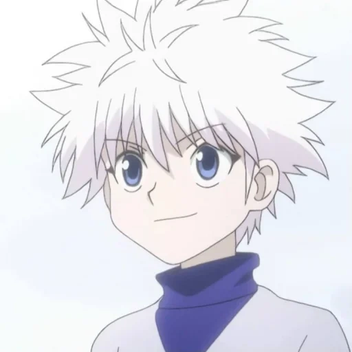 killoi, killoi hunter, il muscolo di killoi è zoldik, hunter x hunter brother killuo, hunter x hunter sister killu