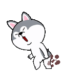 ami fat cat, white cat under hypnosis
