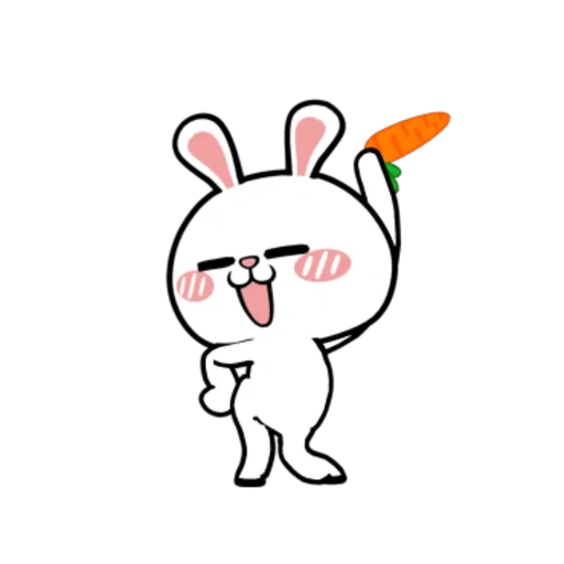 rabbit watsap, super coelho, coelho dançando, coelho dançando